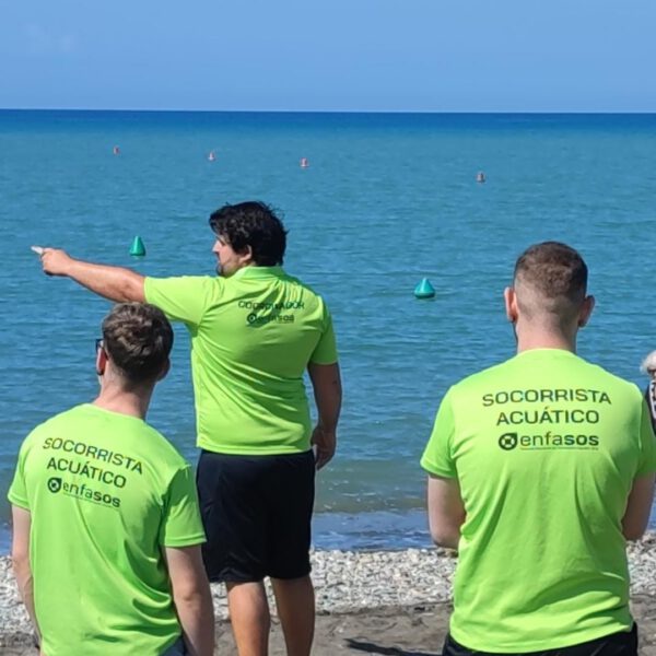 coordinador socorrista curso